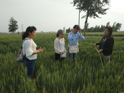 科研所携农业气象分中心人员开展麦田考察...