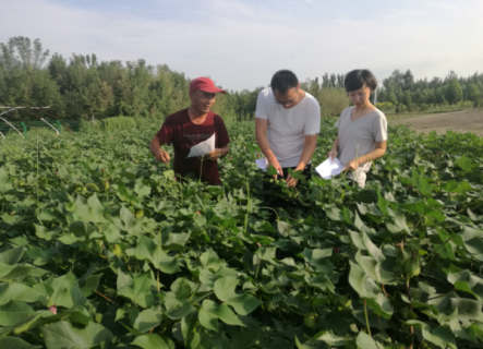 ���أ�����������������Ϊũ���������...